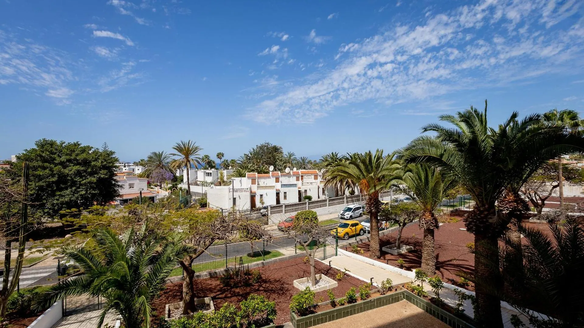 Apartment Agaves Sunrises Playa Las Americas Playa de las Americas   Playa de las Americas (Tenerife)